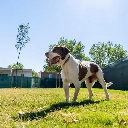 Club Del Sole Family Aldeamento Turístico Rimini