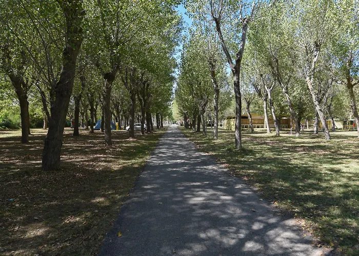 Vakantiepark Club Del Sole Family Rimini