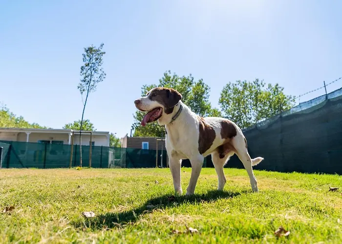Club Del Sole Family Village de vacances Rimini